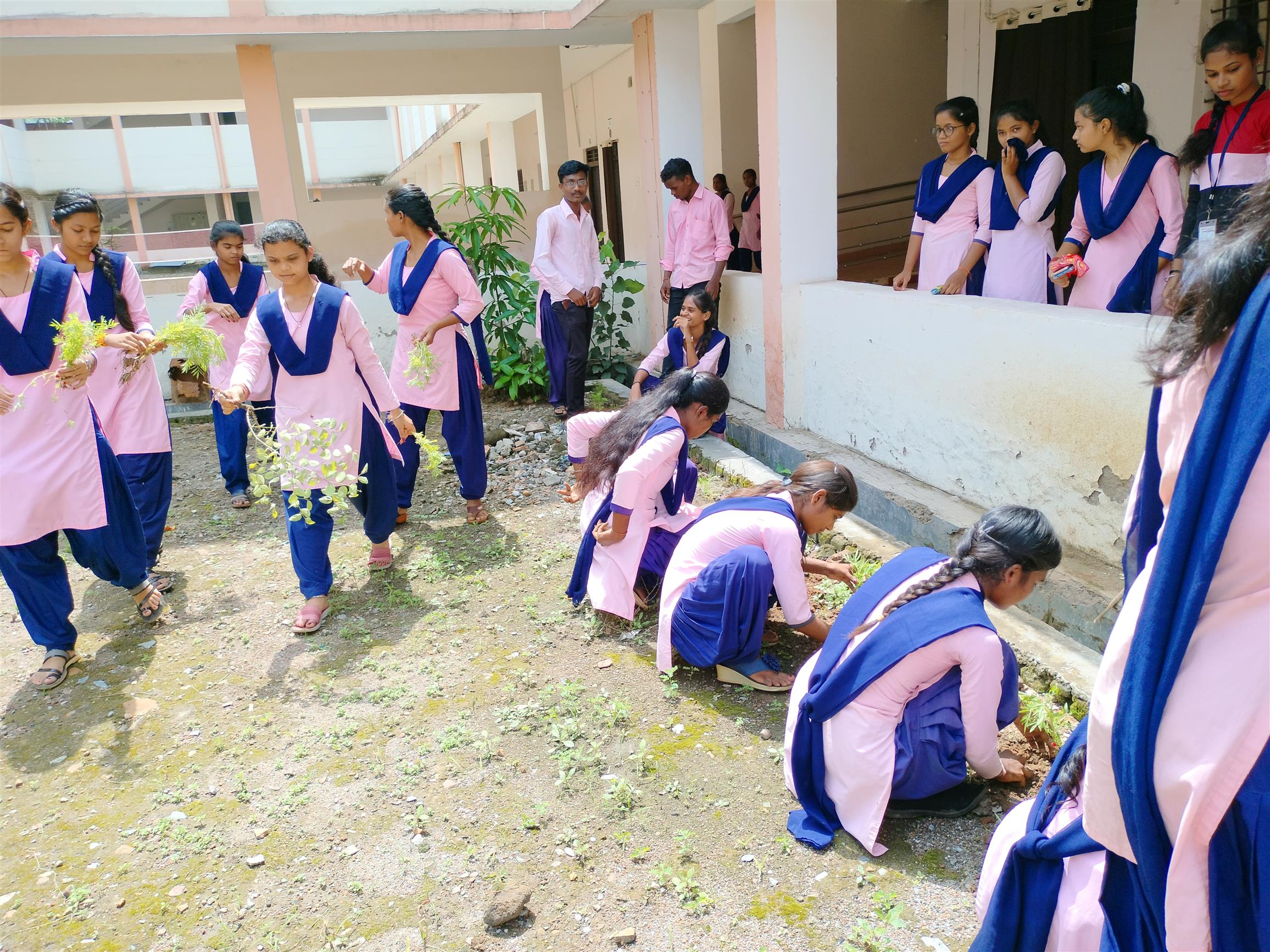 वृक्षारोपण कार्यक्रम 